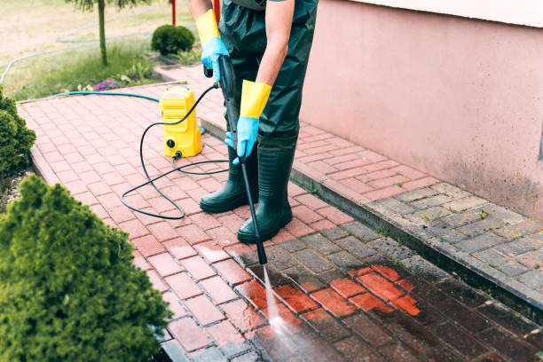 Best House Exterior Washing  in Hertford, NC